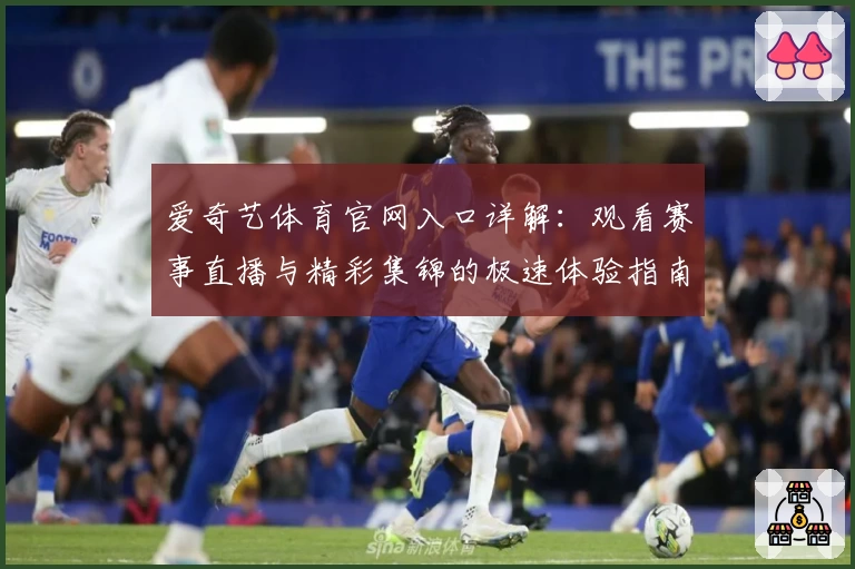 爱奇艺体育官网入口详解：观看赛事直播与精彩集锦的极速体验指南