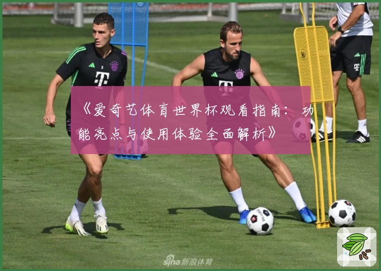 《爱奇艺体育世界杯观看指南：功能亮点与使用体验全面解析》